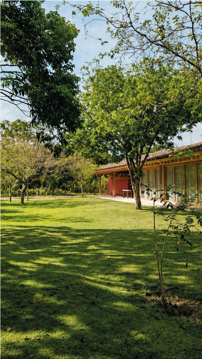 Lawn and the main house under the trees